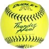 Dudley 12" USSSA WT 12 Thunder Heat Fastpitch Softballs (Dozen): 4U147Y -Baseball Equipment Shop 4U147Y