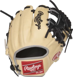 Rawlings Heart Of The Hide 9.5" Training Glove: PRO200TR-2C